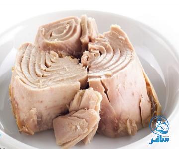 انواع تن ماهی در ایران + بهترین قیمت خرید
